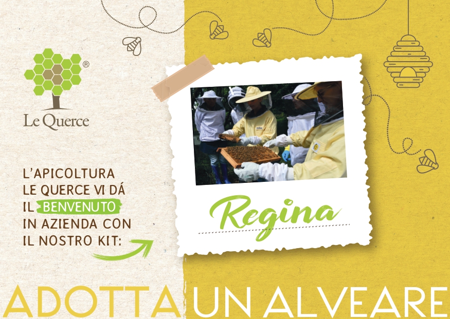 Le esperienze - Regina